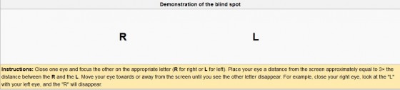 blind spot test snip