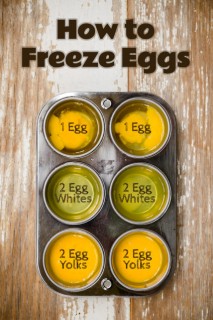 Freezing-Eggs-01-Titled-428x642
