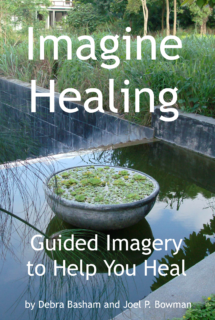 cover Imagine Healing e-book