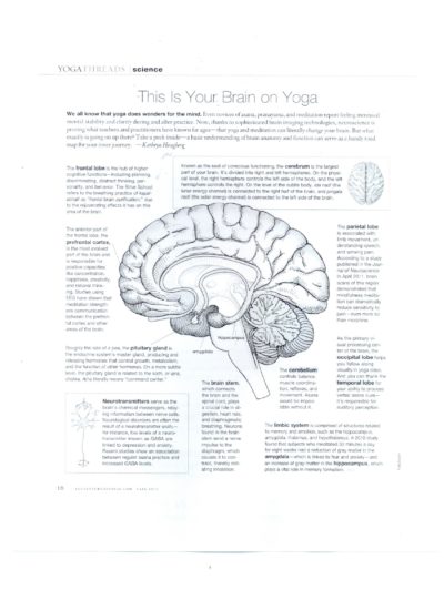 Yoga Brain - SCS Matters